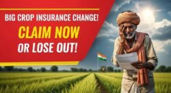 फसल बीमा योजना में बड़ा बदलाव समय पर क्लेम नहीं किया तो मुआवजा जाएगा हाथ से