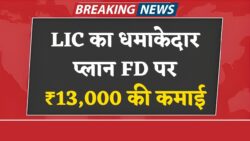 LIC FD Scheme : एलआईसी ने लॉन्च किया नया FD स्कीम, 2 लाख रुपए करें निवेश, और प्रत्येक महीने मिलेंगे 13000 रुपए।