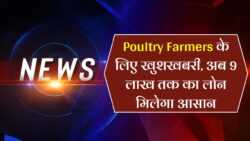 मुर्गी पालन लोन योजना से 50% सब्सिडी के साथ मिलेगा ९ लाख तक का लोन, आवेदन करे ऐसे Murgi Palan Loan Yojana