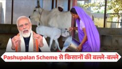 गाय-भैंस खरीदने वालों के लिए बड़ी खुशखबरी! सरकार दे रही है ₹10 लाख तक का लोन – ऐसे करें आवेदन Pashupalan Dairy Loan 2025