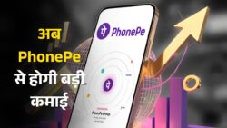 PhonePe App Se Paise Kamaye: फोनपे से ₹20000 महीना घर बैठे पैसे कमाने का आसान तरीका