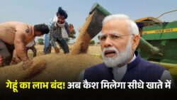 गेहूं बंद होने के बाद मिलेंगे ये 5 बड़े फायदे, हर महीने खाते में आएंगे ₹1000 Ration Card October News