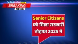 Senior Citizen Scheme Benefits खुशखबरी बुजुर्गों के लिए सरकार का तोहफ़ा, जल्दी देखें